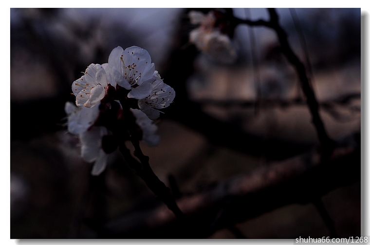2013-03-18-371682e5a9-4a2e-45e7-9d6c-e7184aa3100d