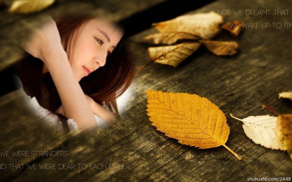 678a3a6980d14d52a5fad768b1e9164f