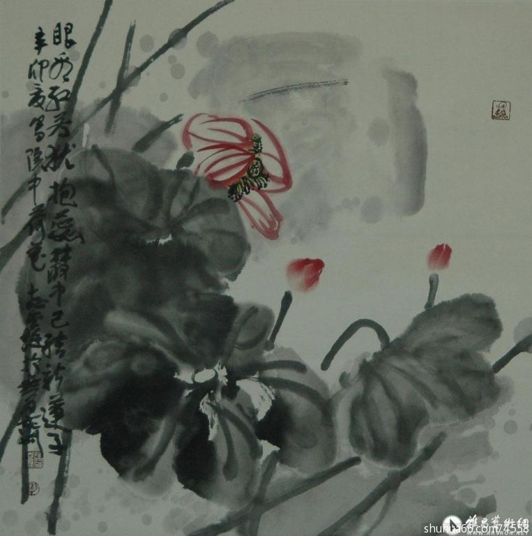 ��ϵ��������