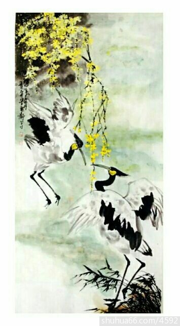 ���Ͼ�ܰ  ��ʵ���      ��������Ů�������ž�д������