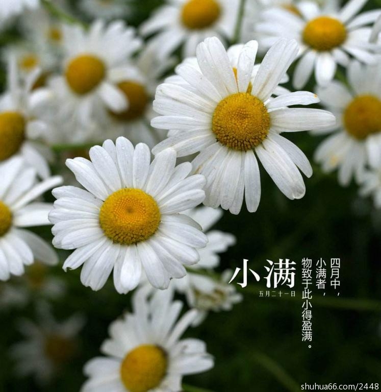timg (41)