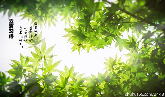 ����������ʫ�ʴ�ȫ��