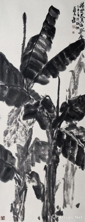 ������͡���׷�������