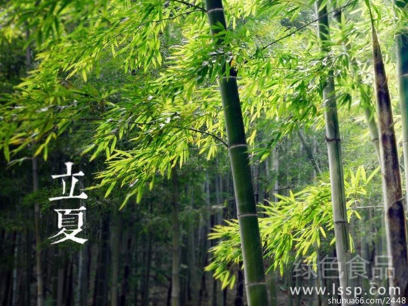 201505061021044056