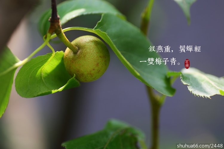 u=2598346739,4125783059&fm=214&gp=0