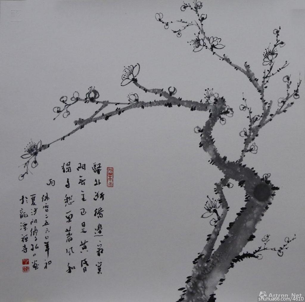 ����ˮī����