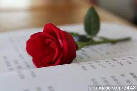 ee5a11e2f2824d80ac3e10b2f78297b6