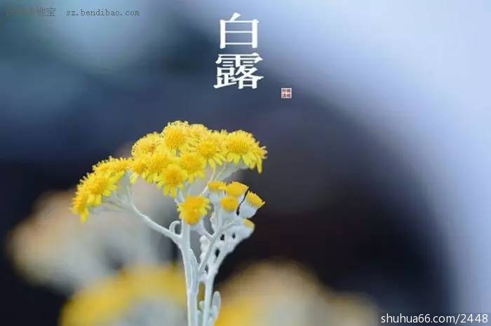 8b92a456a40d415f89a1e901d8a7eb90