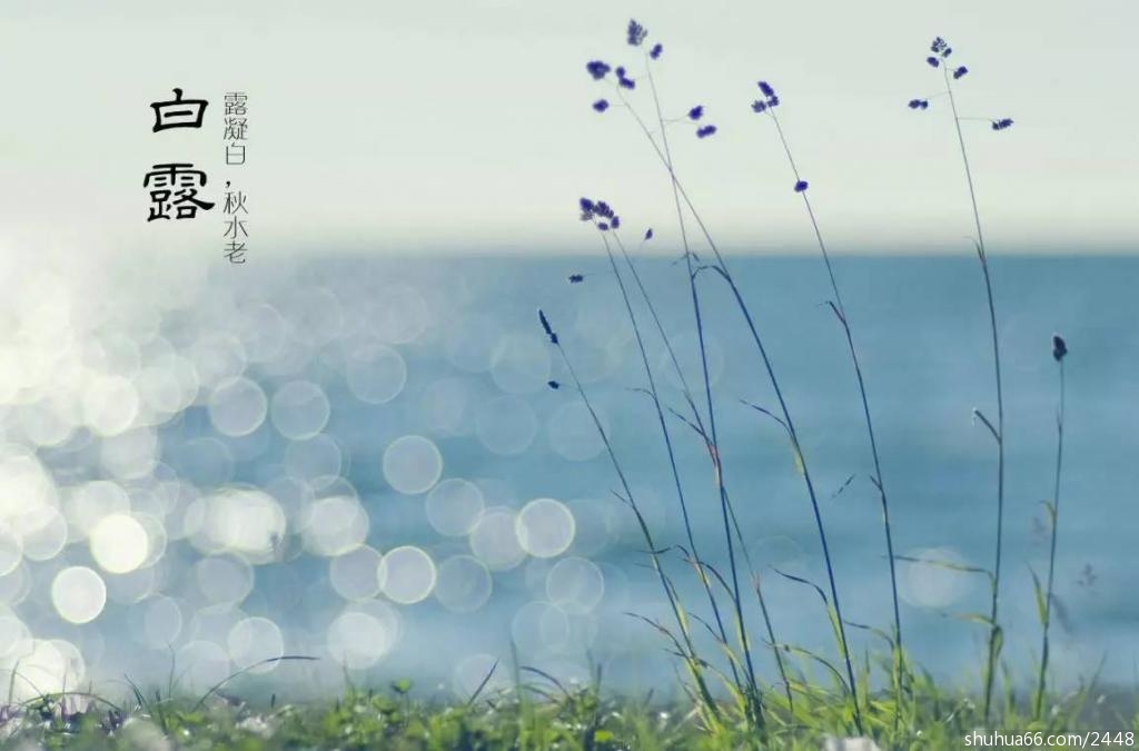 d77bd04b00ab45d09d16c7a5d822f67a