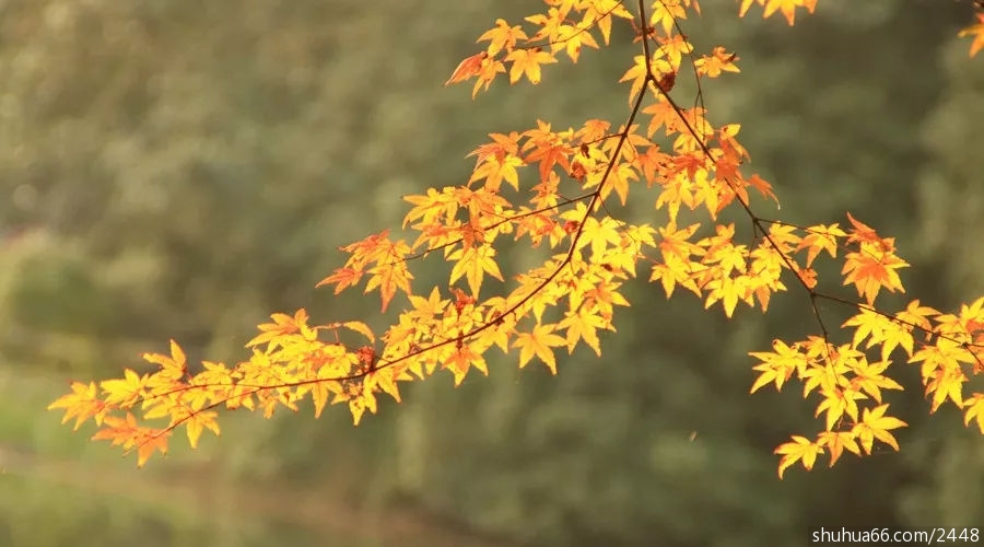 2c7f494faa9b4aa6b545f56b5f5cc5f0