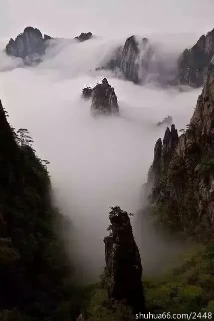 1633c1d1d4fd46069220a10e743e0449