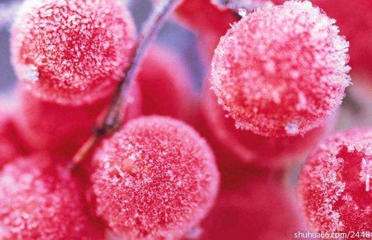 ������ʫ�� �й������Ĺ�ʫ�ʴ�ȫ