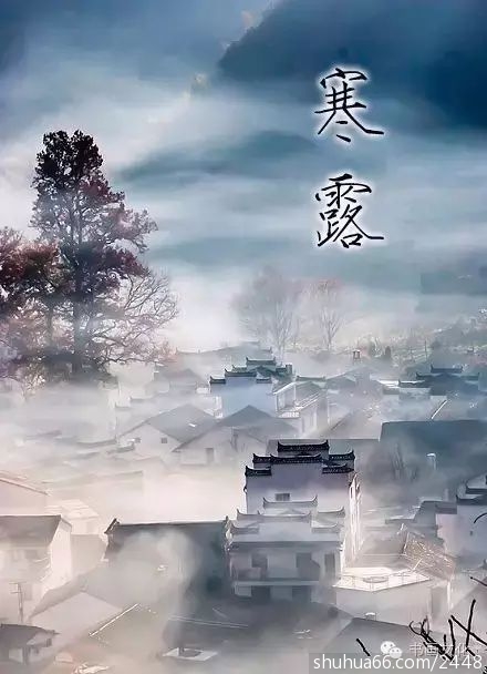 31c81ddf1559465ab608c20765a251cc