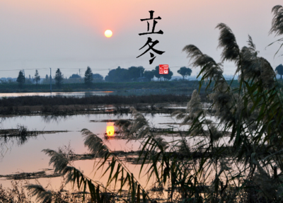 t013c5cf9ee7a092176