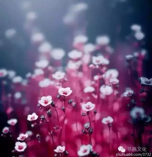 6b4a8dfef3d14316ae4f0a0bfd22f6eb