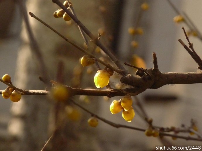 ���ڴ󺮵�ʫ���ȫ