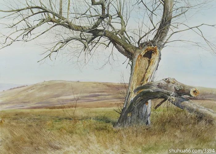 4c56069896b542c48a407ca20c9004bd.jpeg3