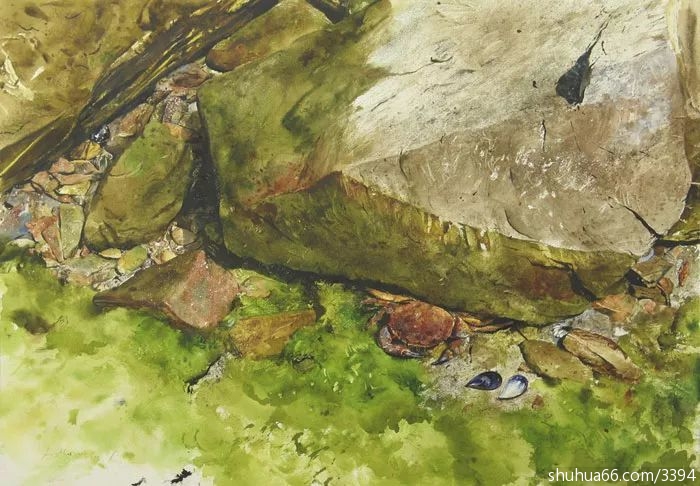 8d160e7cf810486d9c226f62f01c363d.jpeg8