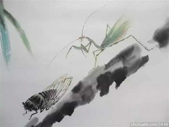 e3029846372742f9a199817c318eab56