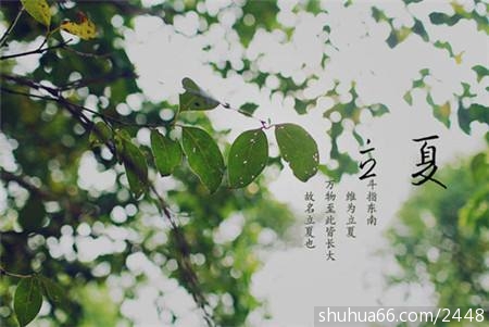 timg (5)