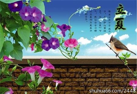 timg (11)
