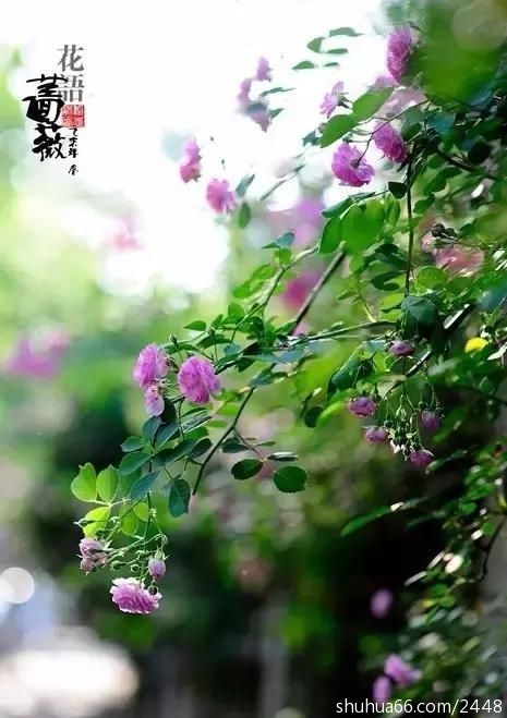 t01cbb6ff4679156b61