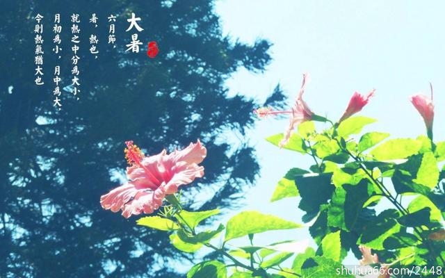201607211131039200