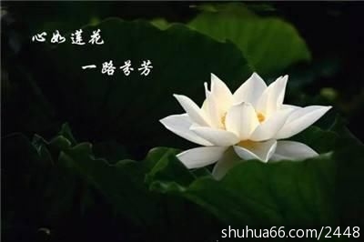 t01b8fa6b61951371a9