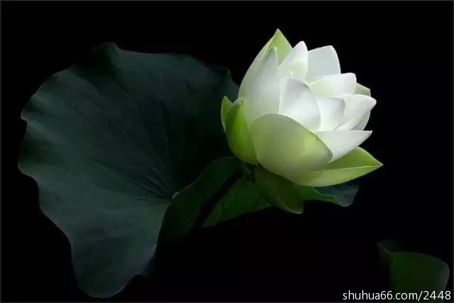 79a75926abf64bd7874a59cfcca3cf06_th