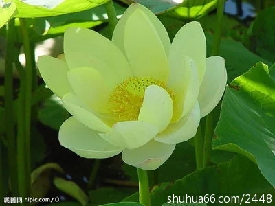 t010ca0f771ea550d73.webp