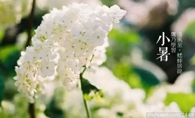 d07f594a73484127b90936808e7b4489