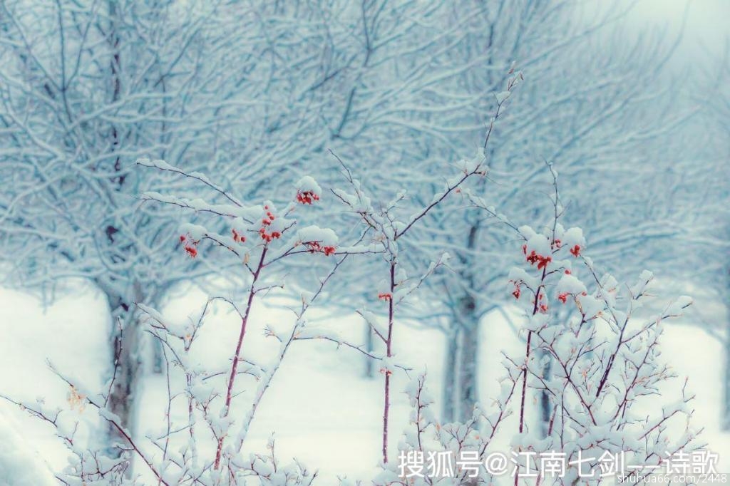 78ea14f3b697438a90c5da69a27223b6