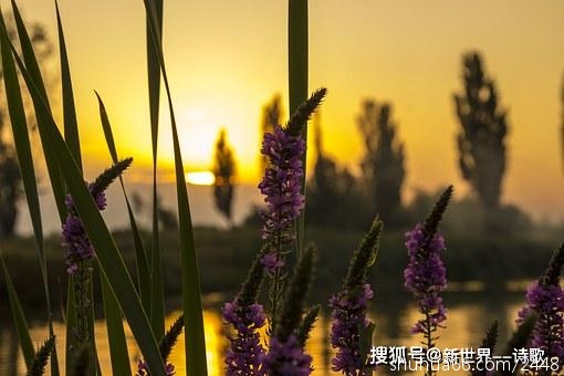 d33301ccf03e4720b72977edcf9eb06f