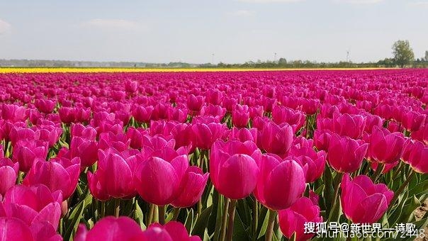 7ff5386db31e4fcaa56c9d8b5b40b725
