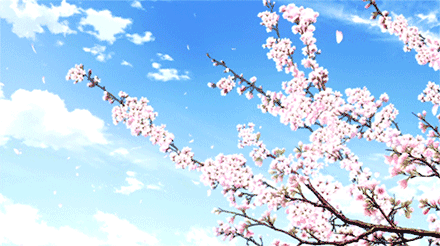 95a632437dfb443ba255b1e6a4240aa4