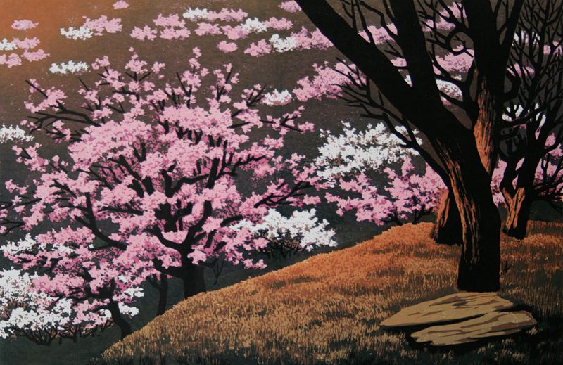 ��ÿ��һ�滭����202�ڡ����ִ�����