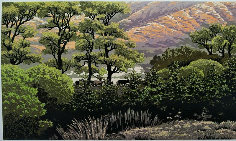 ��ÿ��һ�滭����206�ڡ�����ʱ�ڡ�