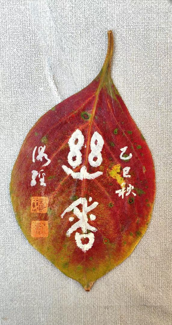 ׭�飺����